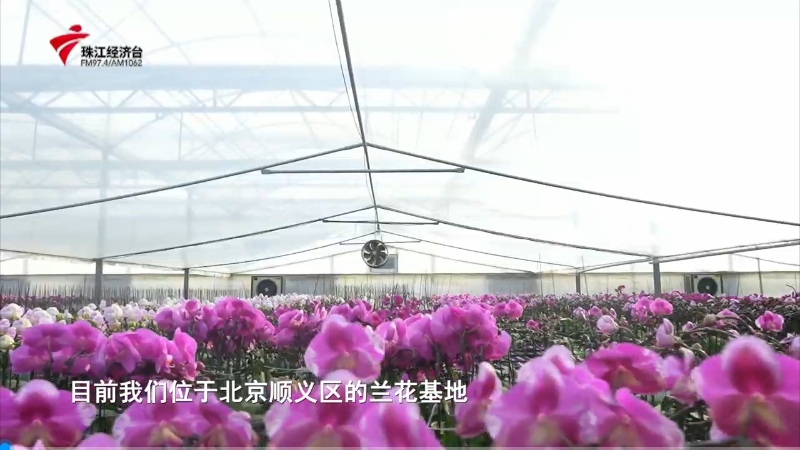long8-唯一官方网站
