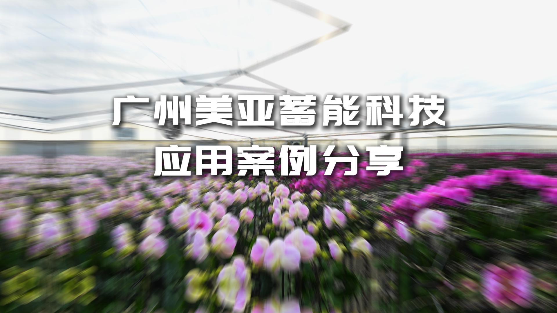 long8-唯一官方网站