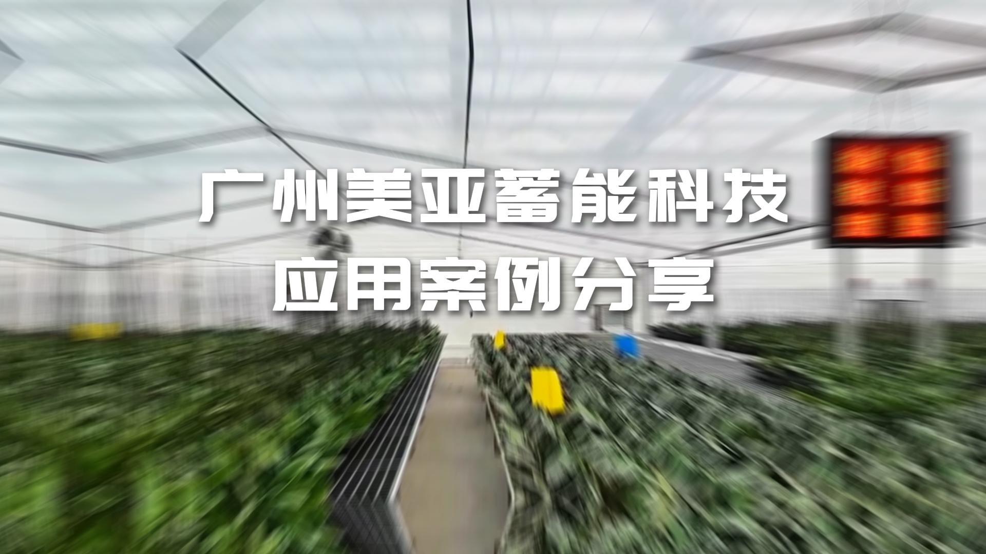long8-唯一官方网站